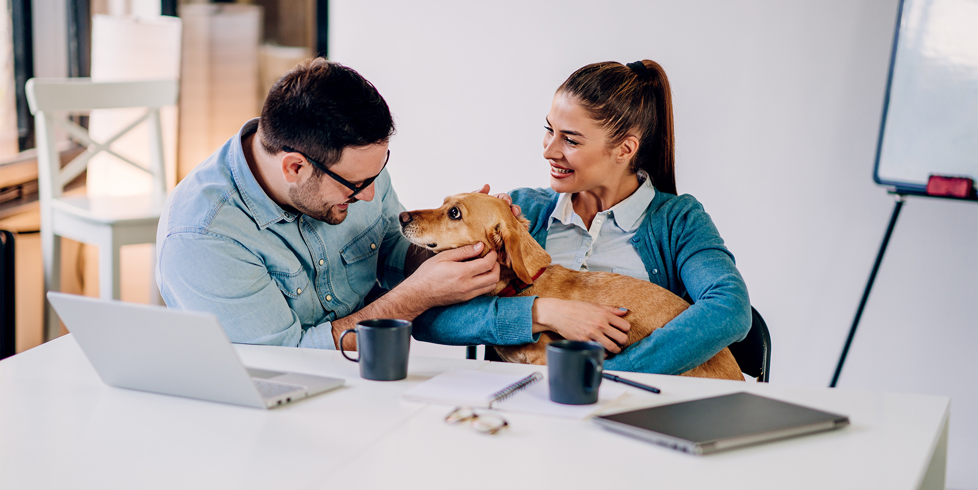 The Advantages of Professional Pet Transportation Over DIY Moves