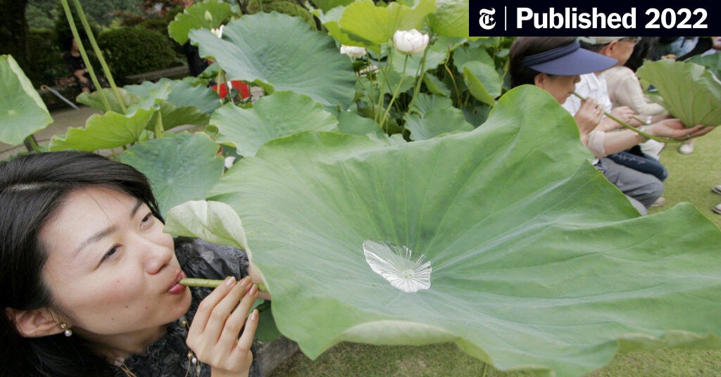 Site With Tech Reviews Nyt Crossword Clue : Unveiling the Ultimate Tech Reviews Hub